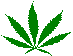 hemp.gif (1405 bytes)
